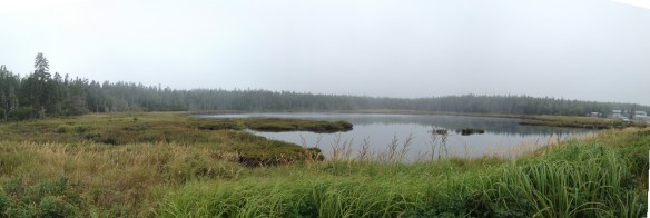A panorama of the marsh behind Seawall beach. 