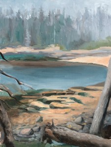 untitled : Oil on board. 9"x12"  2015