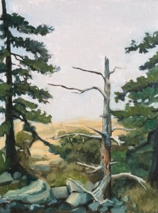 untitled : Oil on board. 9"x12"  2015