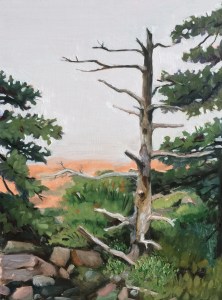 untitled : Oil on board. 9"x12"  2015